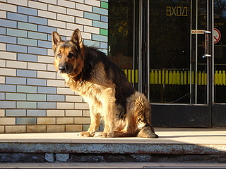 click for enlarge 1920 X 1440 981.1 Kb picture