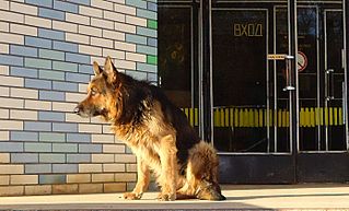 click for enlarge 1385 X 838 198.9 Kb picture