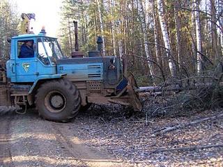 click for enlarge 448 X 336  51.2 Kb picture