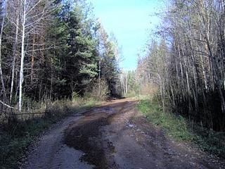 click for enlarge 448 X 336  45.8 Kb picture