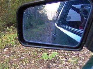 click for enlarge 448 X 336  43.7 Kb picture