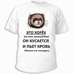 click for enlarge 480 X 480 31.5 Kb picture