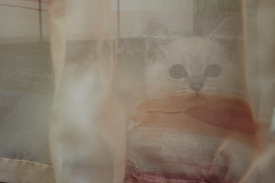 click for enlarge 600 X 400 61.3 Kb picture