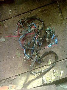 click for enlarge 1920 X 2560 669.3 Kb picture