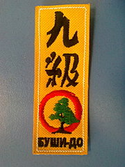 click for enlarge 1536 X 2048 740.6 Kb picture