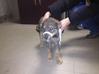 click for enlarge 1920 X 1440 715.0 Kb picture