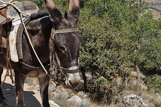 click for enlarge 1920 X 1275 816.7 Kb picture