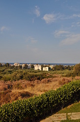 click for enlarge 1920 X 2890 528.6 Kb picture