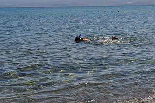 click for enlarge 1920 X 1275 814.7 Kb picture