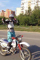 click for enlarge 683 X 1024 150.9 Kb picture