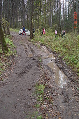 click for enlarge 1728 X 2592 884.4 Kb picture