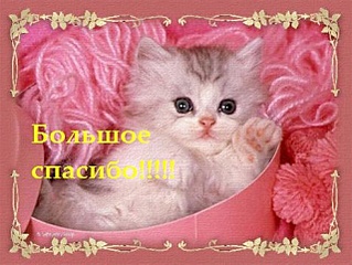 click for enlarge 640 X 481 103.8 Kb picture