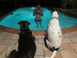 click for enlarge 960 X 720  63.4 Kb picture
