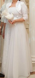 click for enlarge 482 X 1063 62.2 Kb picture