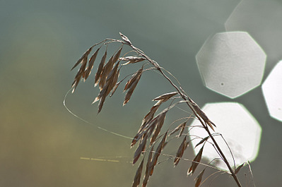 click for enlarge 1920 X 1276 373.0 Kb picture