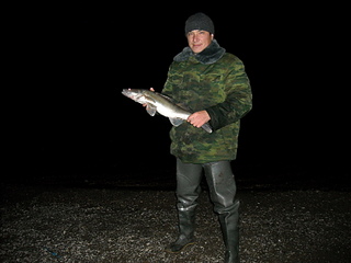 click for enlarge 1920 X 1440 692.3 Kb picture