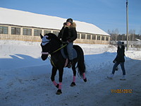 click for enlarge 1920 X 1440 489.2 Kb picture