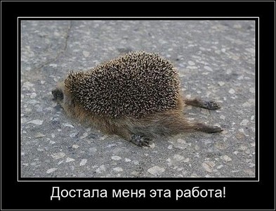 click for enlarge 656 X 500 87.5 Kb picture