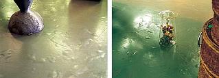 click for enlarge 503 X 180 14.8 Kb picture