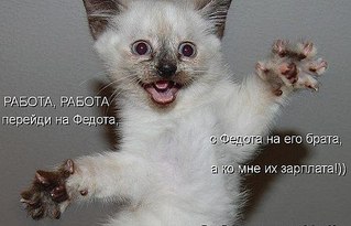 click for enlarge 604 X 388  47.0 Kb picture
