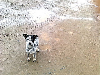 click for enlarge 400 X 300 38.3 Kb picture
