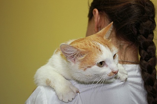 click for enlarge 800 X 533 136.5 Kb picture