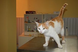 click for enlarge 800 X 533 134.2 Kb picture