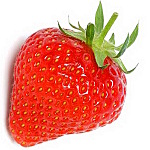 click for enlarge 600 X 600 116.5 Kb picture
