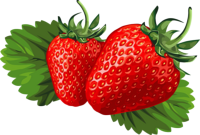 click for enlarge 800 X 541 342.4 Kb picture