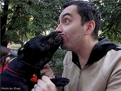 click for enlarge 640 X 480 122.5 Kb picture