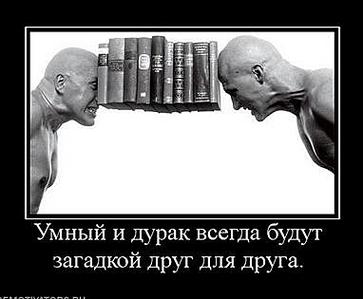 click for enlarge 382 X 315 17.4 Kb picture