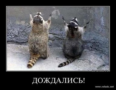 click for enlarge 640 X 500 58.4 Kb picture