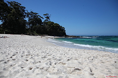 click for enlarge 800 X 534 180.7 Kb picture