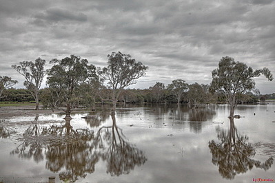 click for enlarge 800 X 533 163.1 Kb picture