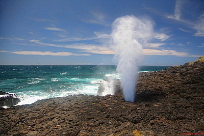 click for enlarge 800 X 534 184.7 Kb picture