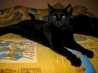 click for enlarge 604 X 453 54.0 Kb picture