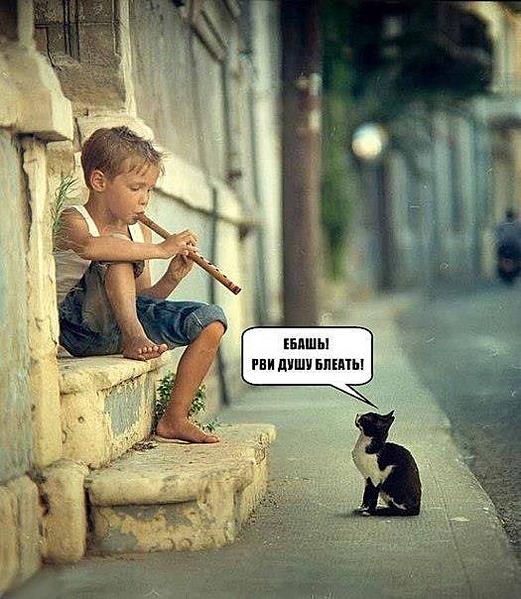 click for enlarge 525 X 604 52.6 Kb picture