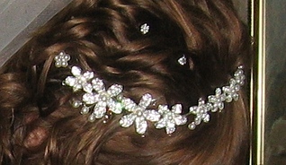 click for enlarge 443 X 256 68.7 Kb picture