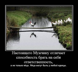 click for enlarge 604 X 560  84.5 Kb picture