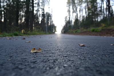 click for enlarge 922 X 615 381.4 Kb picture