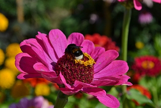 click for enlarge 922 X 615 350.2 Kb picture