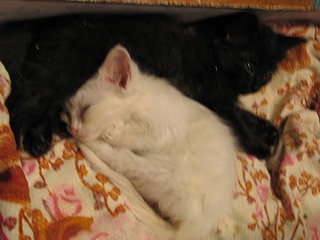 click for enlarge 1920 X 1440 744.1 Kb picture