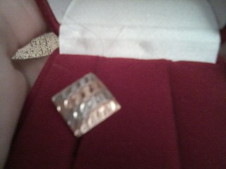 click for enlarge 604 X 453  29.4 Kb picture