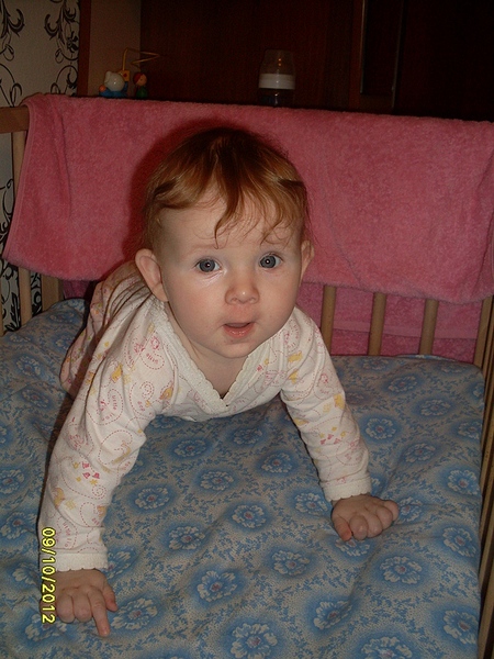 click for enlarge 750 X 1000 386.1 Kb picture