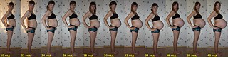 click for enlarge 1920 X 480 198.5 Kb picture