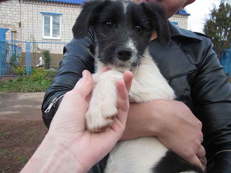 click for enlarge 1920 X 1440 465.3 Kb picture