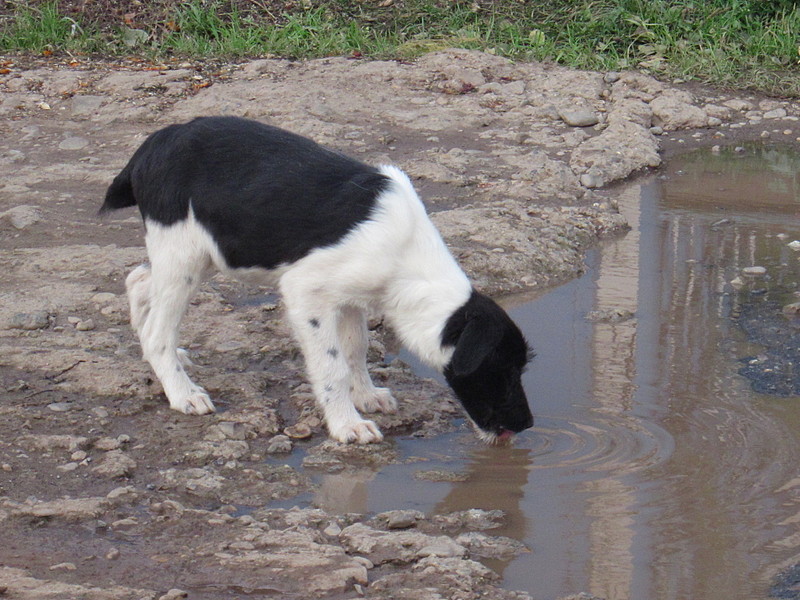 click for enlarge 1920 X 1440 659.8 Kb picture