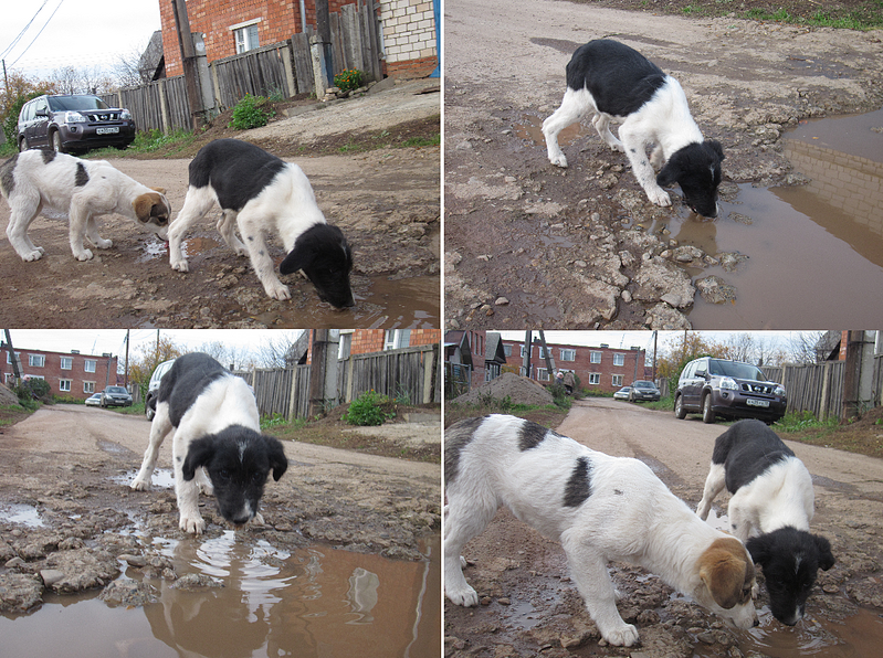 click for enlarge 1201 X 896 2.3 Mb picture