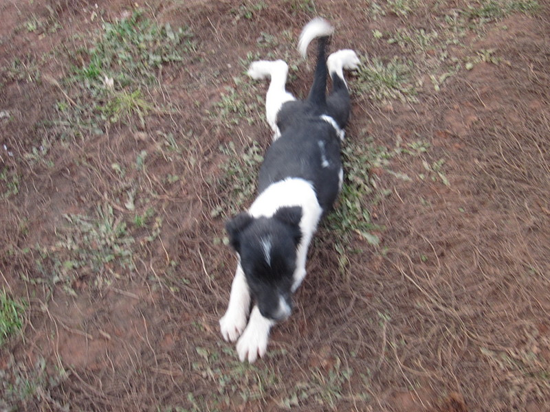 click for enlarge 1920 X 1440 644.0 Kb picture