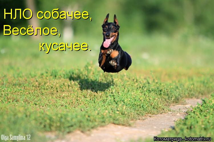 750 x 499